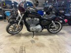 Thumbnail Photo 1 for 2019 Harley-Davidson Sportster SuperLow