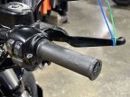Thumbnail Photo 2 for 2019 Harley-Davidson Sportster