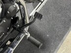 Thumbnail Photo 3 for 2019 Harley-Davidson Sportster