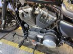 Thumbnail Photo 6 for 2019 Harley-Davidson Sportster Roadster