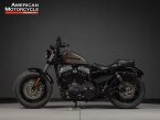 Thumbnail Photo 6 for 2019 Harley-Davidson Sportster Forty-Eight