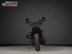 Thumbnail Photo 4 for 2019 Harley-Davidson Sportster Forty-Eight