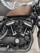 Thumbnail Photo 1 for 2019 Harley-Davidson Sportster Iron 883