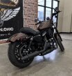 Thumbnail Photo 3 for 2019 Harley-Davidson Sportster Iron 883