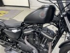 Thumbnail Photo 4 for 2019 Harley-Davidson Sportster Iron 883