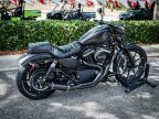 Thumbnail Photo 2 for 2019 Harley-Davidson Sportster Iron 883