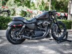 Thumbnail Photo 3 for 2019 Harley-Davidson Sportster Iron 883