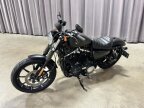 Thumbnail Photo 2 for 2019 Harley-Davidson Sportster
