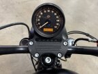 Thumbnail Photo 4 for 2019 Harley-Davidson Sportster