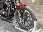 Thumbnail Photo 1 for 2019 Harley-Davidson Sportster Iron 883
