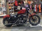 Thumbnail Photo 4 for 2019 Harley-Davidson Sportster Iron 883