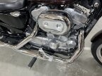 Thumbnail Photo 6 for 2019 Harley-Davidson Sportster SuperLow