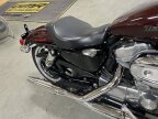 Thumbnail Photo 5 for 2019 Harley-Davidson Sportster SuperLow
