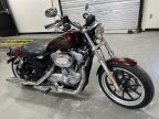 Thumbnail Photo 1 for 2019 Harley-Davidson Sportster SuperLow