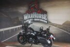 Thumbnail Photo 3 for 2019 Harley-Davidson Sportster Forty-Eight