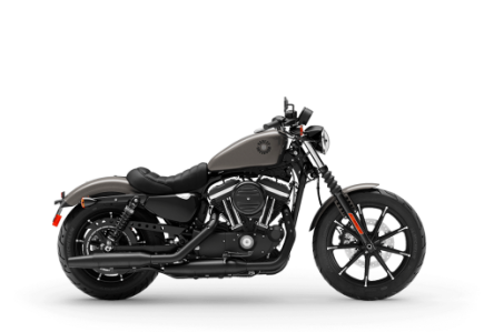 Photo 1 for 2019 Harley-Davidson Sportster Iron 883