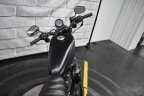 Thumbnail Photo 4 for 2019 Harley-Davidson Sportster