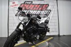Thumbnail Photo 6 for 2019 Harley-Davidson Sportster