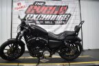 Thumbnail Photo 5 for 2019 Harley-Davidson Sportster