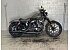 2019 Harley-Davidson Sportster Iron 883