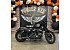 2019 Harley-Davidson Sportster Iron 883
