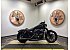 2019 Harley-Davidson Sportster