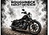 2019 Harley-Davidson Sportster