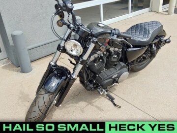 2019 Harley-Davidson Sportster Forty-Eight