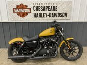 2019 Harley-Davidson Sportster Iron 883