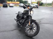 2019 Harley-Davidson Sportster Iron 883