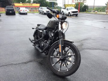2019 Harley-Davidson Sportster Iron 883