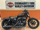 2019 Harley-Davidson Sportster Iron 883