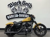 2019 Harley-Davidson Sportster Iron 883