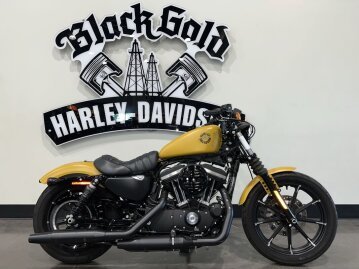 2019 Harley-Davidson Sportster Iron 883