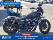 2019 Harley-Davidson Sportster Iron 883