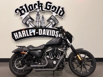 2019 Harley-Davidson Sportster Iron 883