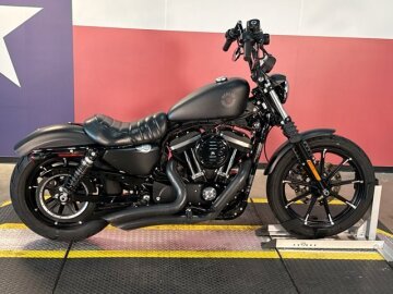 2019 Harley-Davidson Sportster