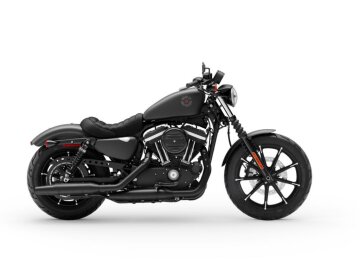 2019 Harley-Davidson Sportster Iron 883