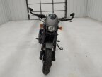 Thumbnail Photo 1 for 2019 Harley-Davidson Street Rod
