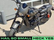 2019 Harley-Davidson Street Rod