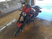 2019 Harley-Davidson Street Rod