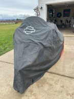 Thumbnail Photo 2 for 2019 Harley-Davidson Trike Tri Glide Ultra for Sale by Owner