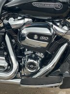 Thumbnail Photo 1 for 2019 Harley-Davidson Trike Freewheeler