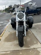 Thumbnail Photo 3 for 2019 Harley-Davidson Trike Freewheeler