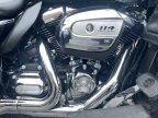 Thumbnail Photo 1 for 2019 Harley-Davidson Trike Tri Glide Ultra