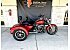 2019 Harley-Davidson Trike Freewheeler