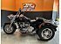 2019 Harley-Davidson Trike Freewheeler