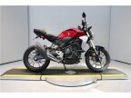 Thumbnail Photo 4 for 2019 Honda CB300R ABS