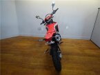 Thumbnail Photo 3 for 2019 Honda CRF450L