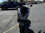 Thumbnail Photo 6 for 2019 Honda PCX150
